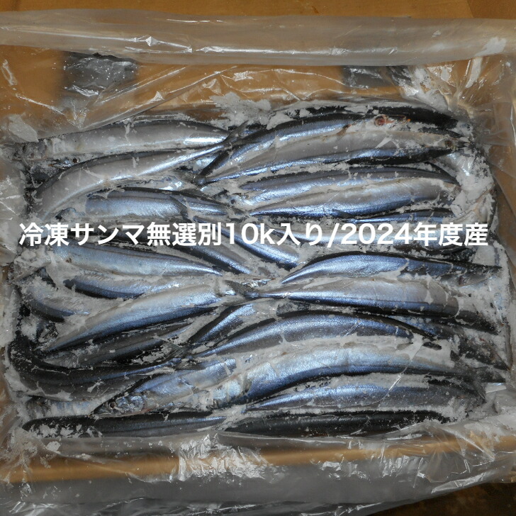 冷凍サンマ10ｋ130/150尾/訳あり/送料無料/2024年度産