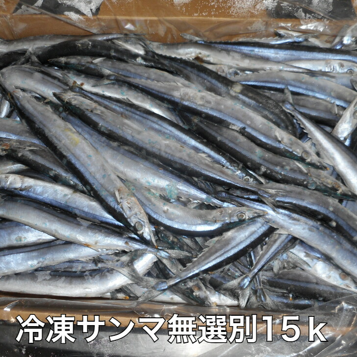 冷凍サンマ無選別15ｋ/訳あり/送料無料/2024年度産