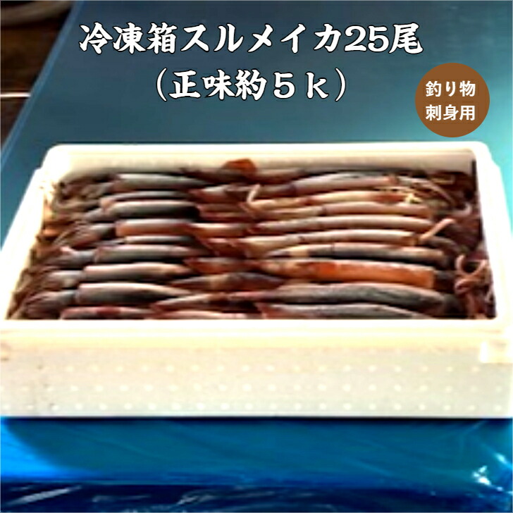 冷凍箱スルメイカ２５尾/送料無料/お刺身用