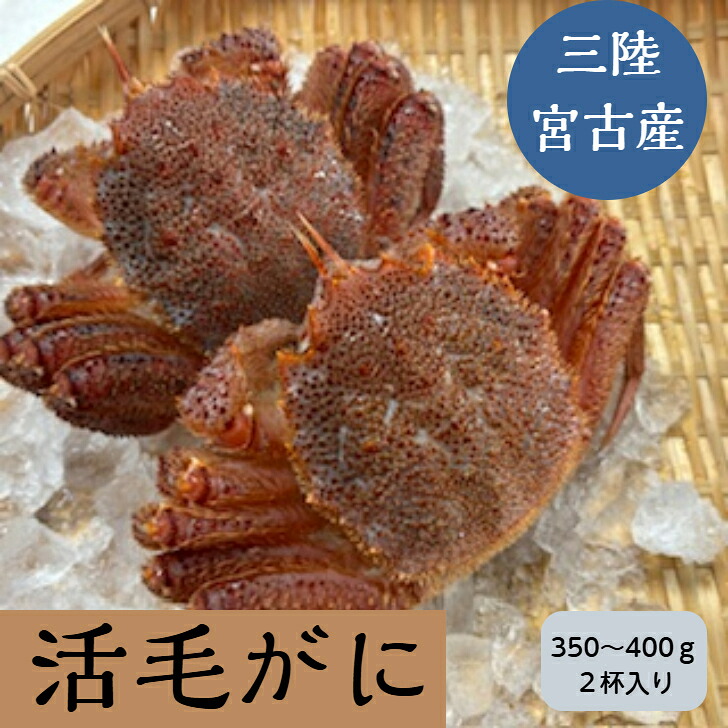 三陸産/活毛ガニ(350~400g) ２杯セット