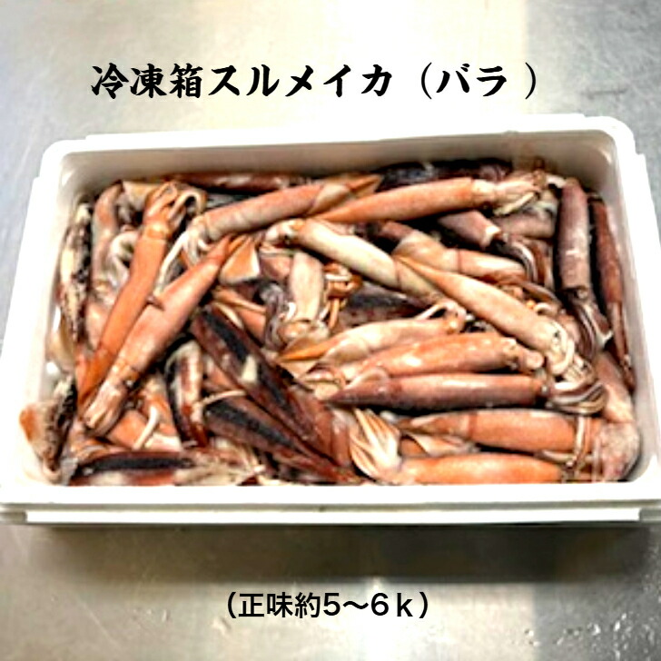 冷凍箱スルメイカ（バラ）/送料無料/｜三上商店　店