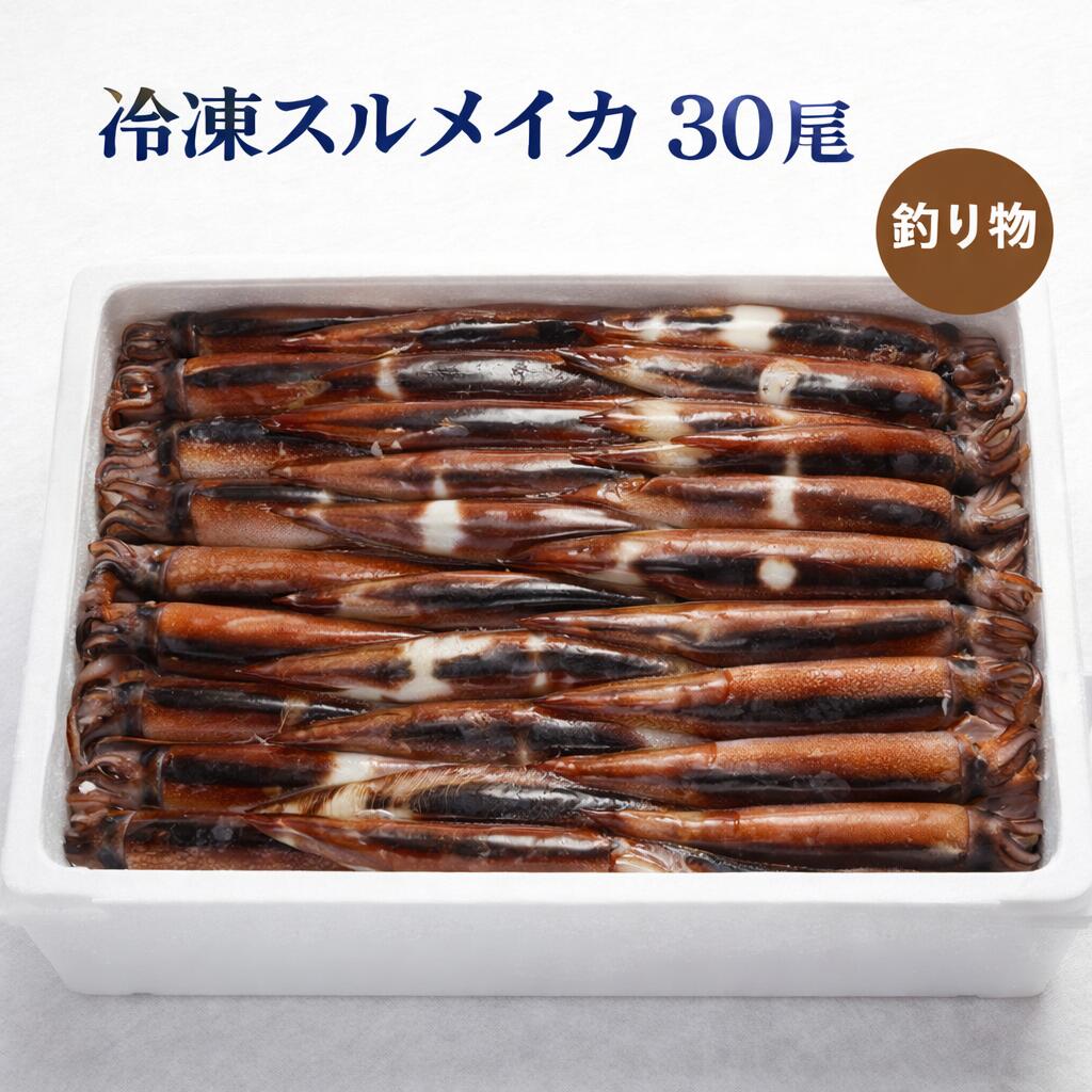 【楽天市場】【楽天ランキング受賞】 冷凍箱スルメイカ３０尾/送料無料/お刺身用：三上商店　楽天市場店