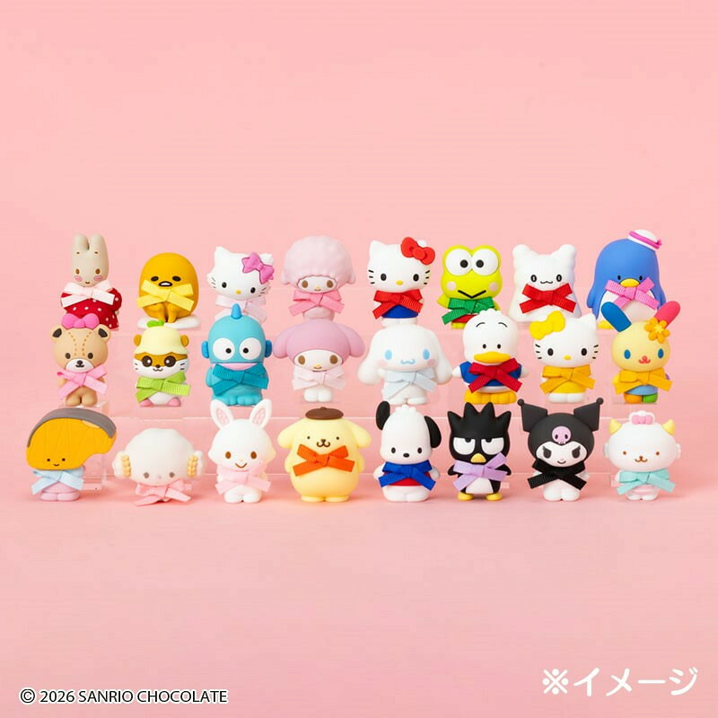 サンリオキャラクターズ シークレットピンズB（2026年サンリオ