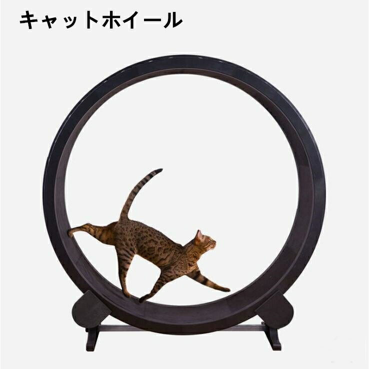 楽天市場】ワンファストキャット ONEFASTCAT 猫用 Cat Exercise