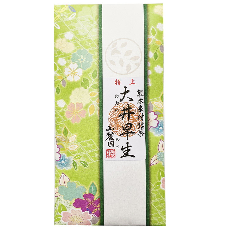 Tokujo Kumamoto Tamaryokucha — Ooiwase, 100g — Product photo 2