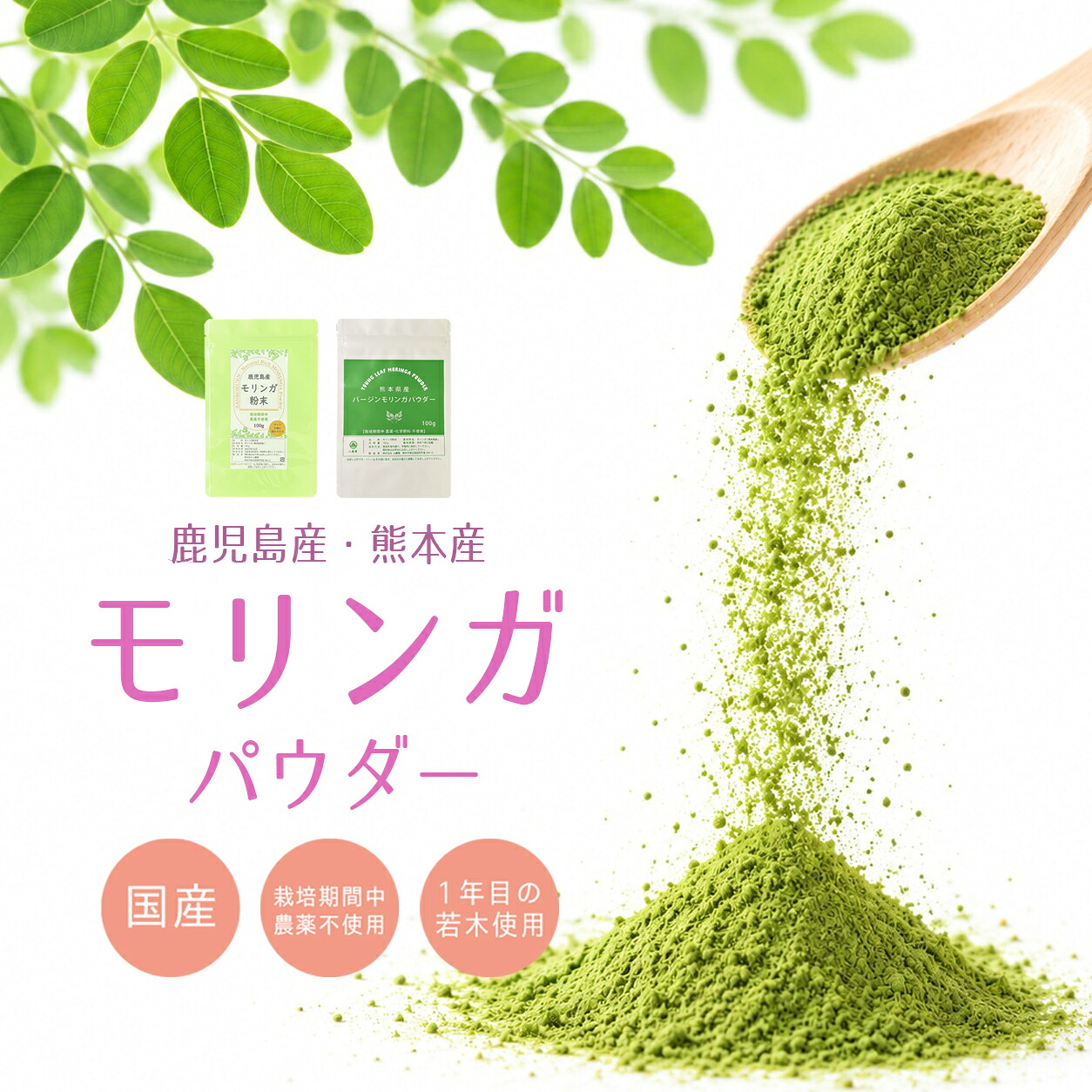 Moringa Powder — 100g — Product photo 9