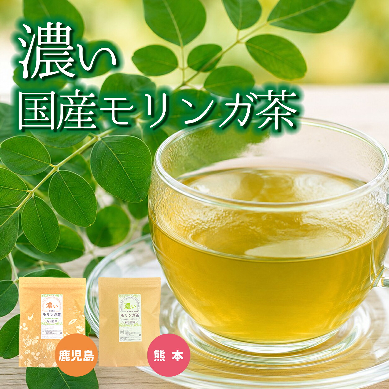 モリンガ茶 ティーバッグ 2g×30包