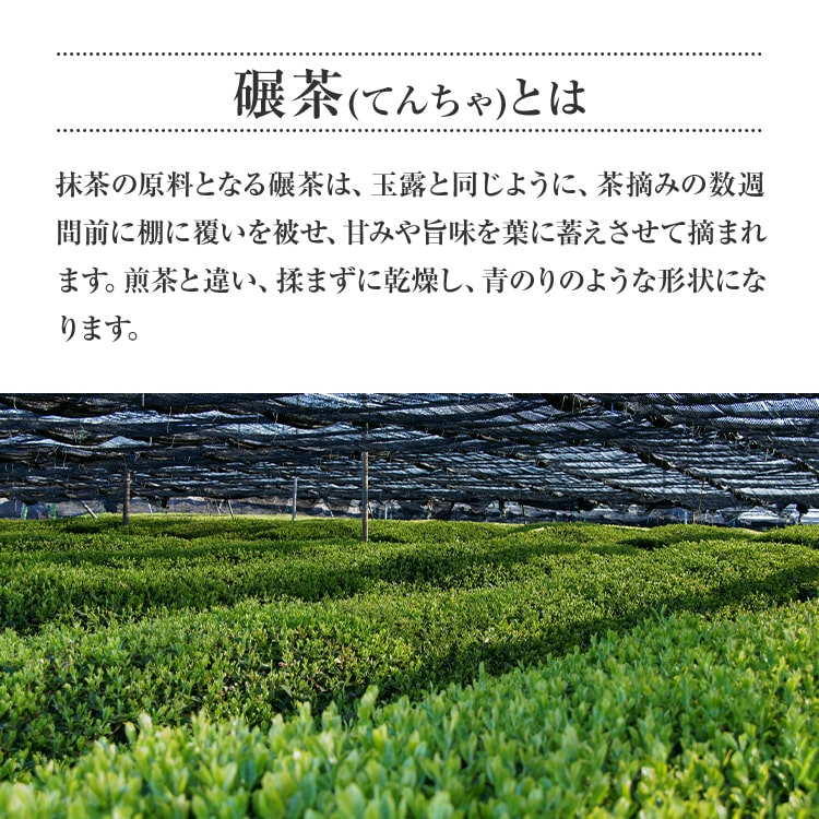 ○送料無料○ 八女 抹茶 100g 2022年 新茶 飲用 スイーツづくりに緑茶 茶道 お稽古用 プレゼント 2022 www.tacoya3.com