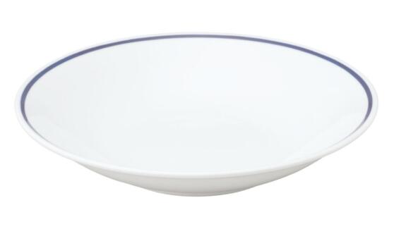 10個セット メタ 23cm 深皿