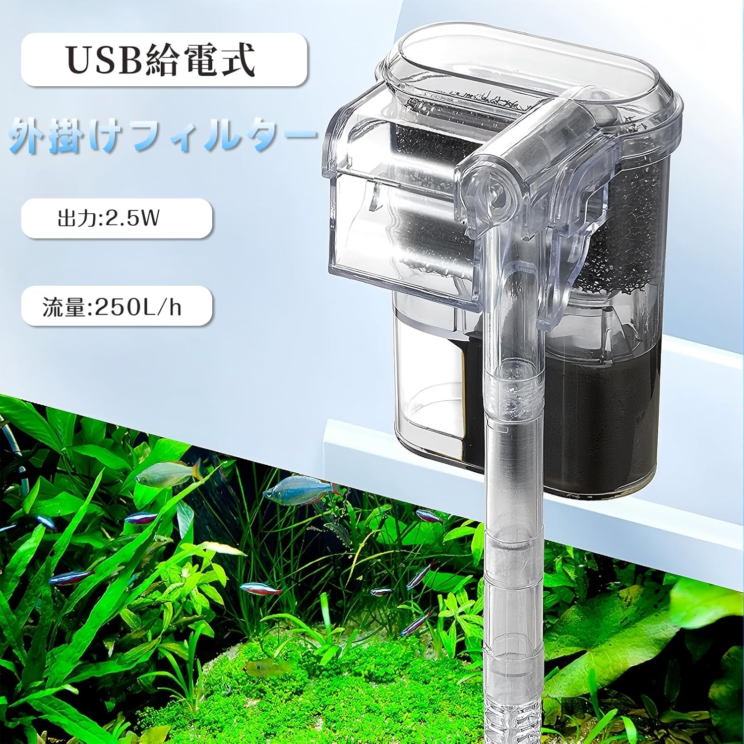 楽天市場】外掛けフィルター 水槽フィルター 外部フィルター 水槽用