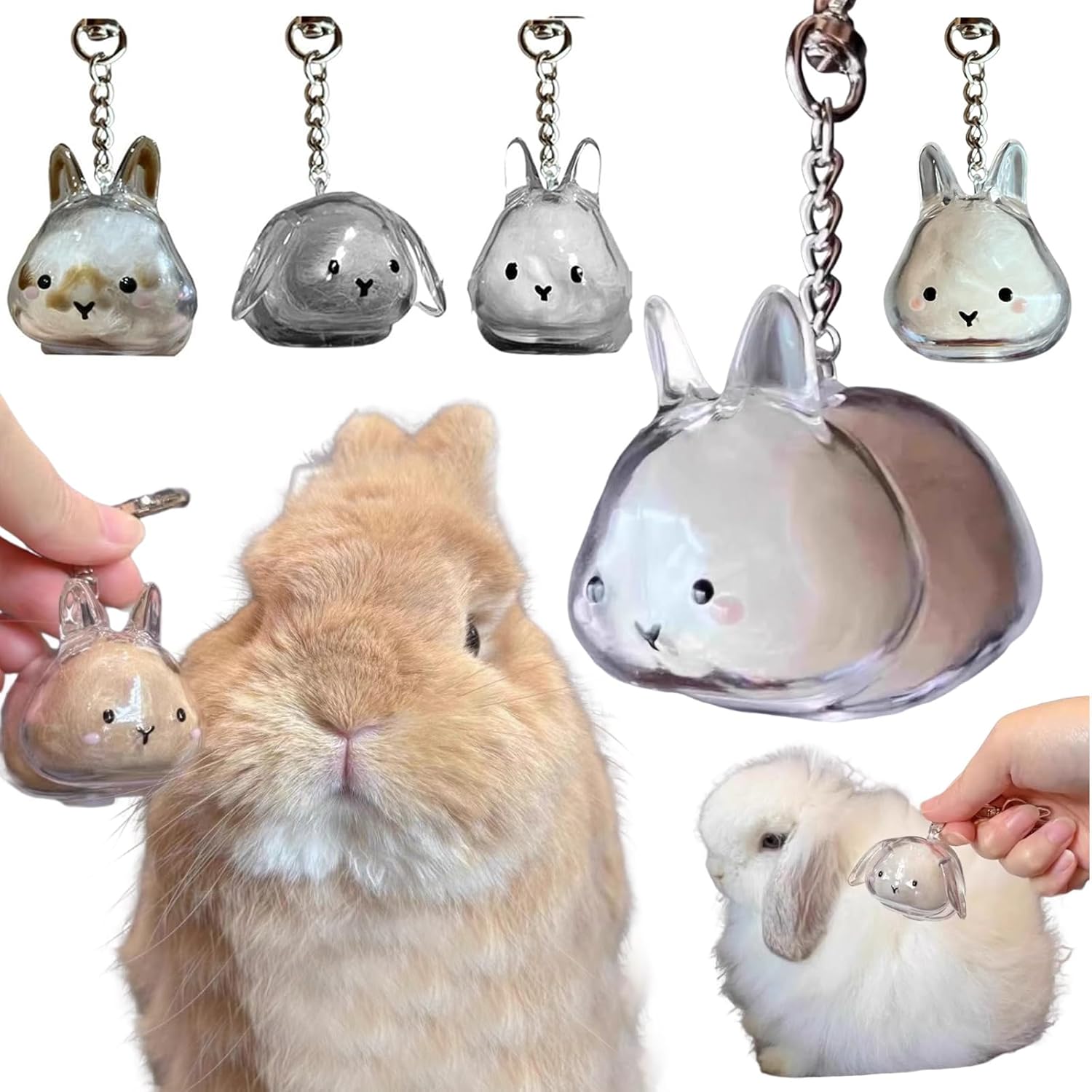 楽天市場】ウサギの毛 キーホルダー ペット 遺毛 ケース 透明 うさぎ