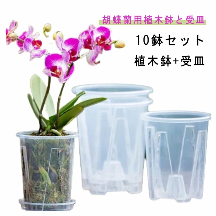 楽天市場】植木鉢 10鉢セット 蝶蘭 植木鉢 透明 穴付き プラスチック