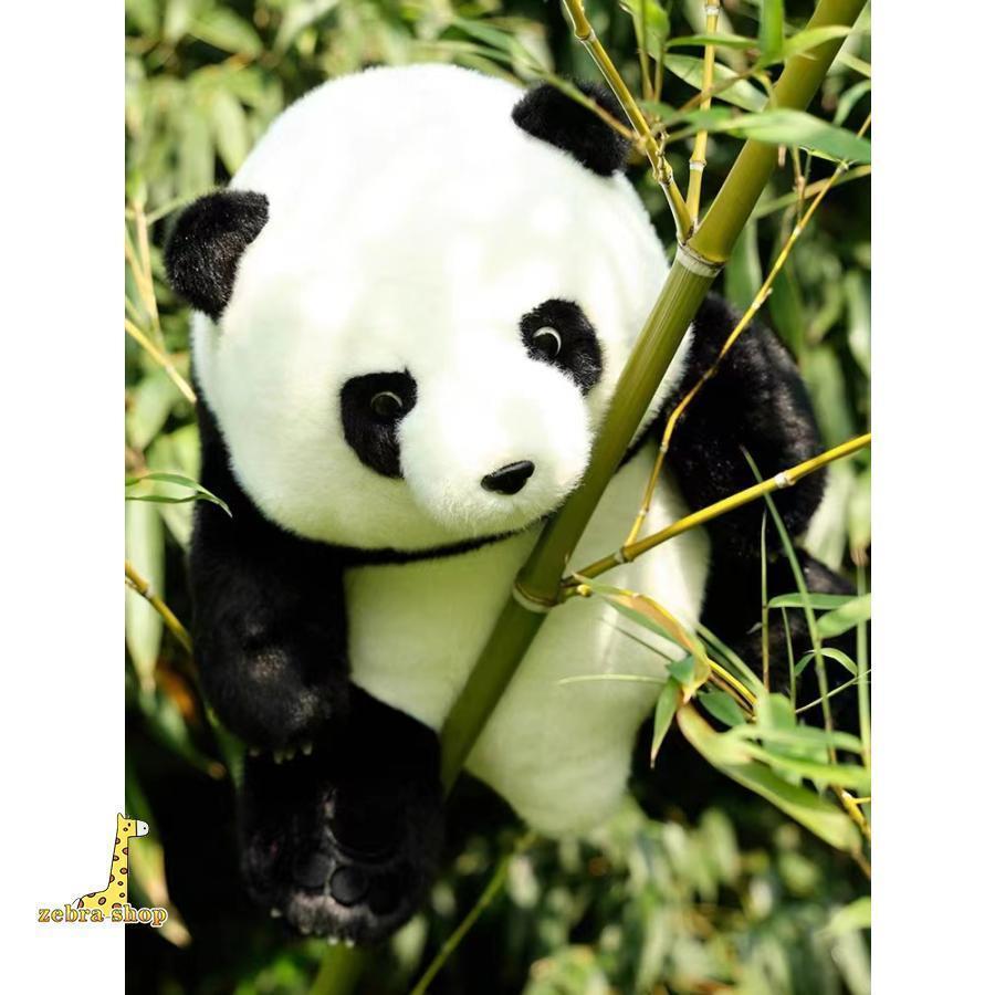 楽天市場】パンダ douglas toy ダグラス社 動物 ぬいぐるみ リアル