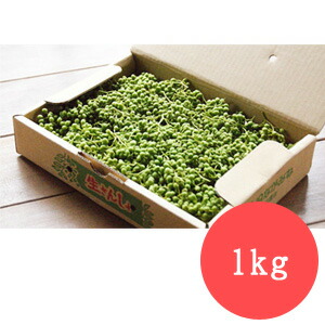 実山椒 生鮮 1kg 明治13年創業 和歌山県の紀州ブドウ山椒専門店 山本勝之助商店 山椒 山椒魚 花椒 佃煮 スパイス 花椒 麻婆豆腐 山椒 通販 うなぎ おでん ギフト プレゼント 数量限定 季節限定の採れたて生山椒 500g 実山椒は収穫時期が10日前後と Painandsleepcenter Com