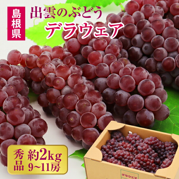 予約 デラウェア 秀品 お中元 ギフト 島根 出雲市 贈答用 約2kg 9～11房 送料無料 葡萄 ブドウ 高級果物 旬の果物 フルーツ贈答 最高級 ぶどう 果物 贈答品 くだものギフト 高級フルーツ 贈答用 御中元ギフト 夏ギフト フルーツ くだもの 産地直送