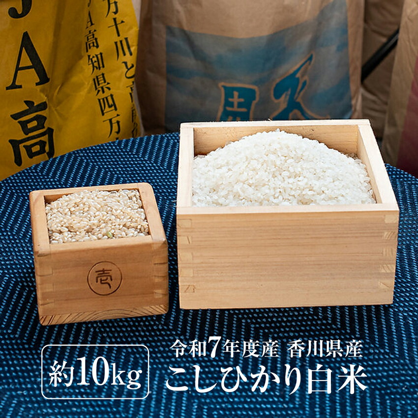 令和7年度 コシヒカリ 10キロ 令和七年度コシヒカリ arisuty 10キロ 米