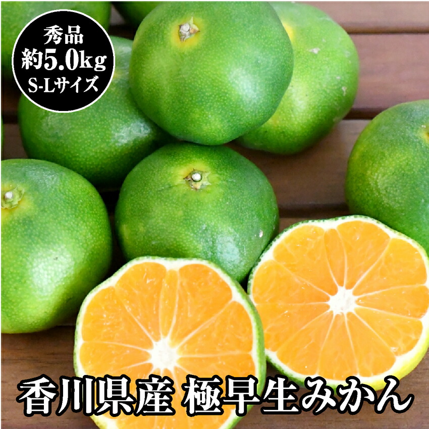 楽天市場】越冬さぬき紅みかん通販 香川県産の越冬みかん販売