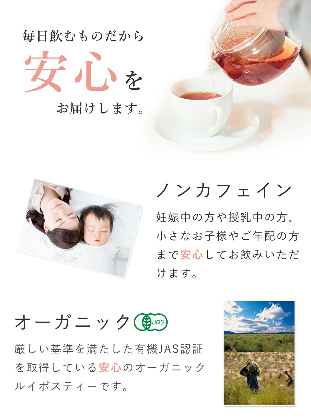 ルイボスティー 100g ルイボス 最上級品質 オーガニック 有機JAS スーペリアルイボス茶 ハーブティー 茶葉 ノンカフェイン ハーブ お茶 健康茶 スパイス 送料無料 サンタローサ