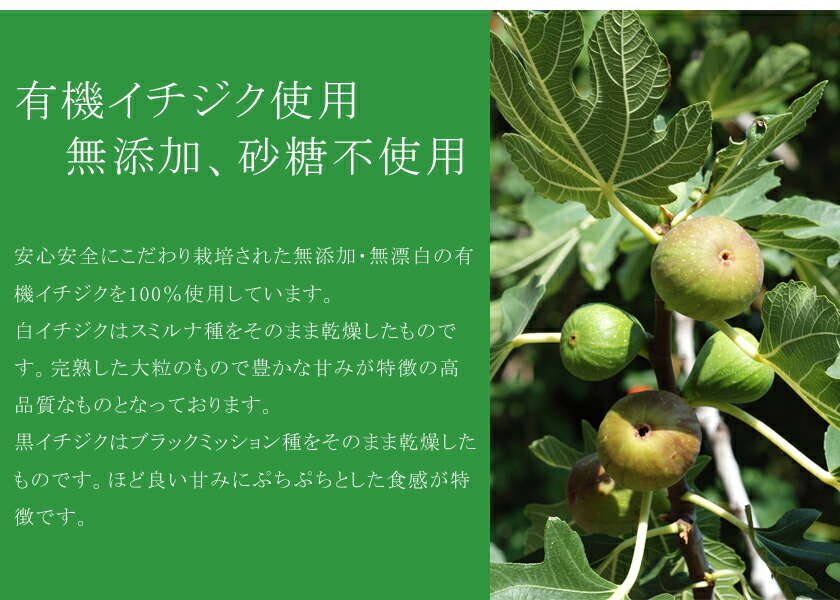 楽天市場 純粋ドライいちじく 100g有機白イチジク使用 安心 安全品質 白いちじく 乾燥いちじく ドライフルーツ ドライイチジク フィグ砂糖不使用 無加糖 無添加 無漂白 保存食 非常食05p03dec16 サンタローサ