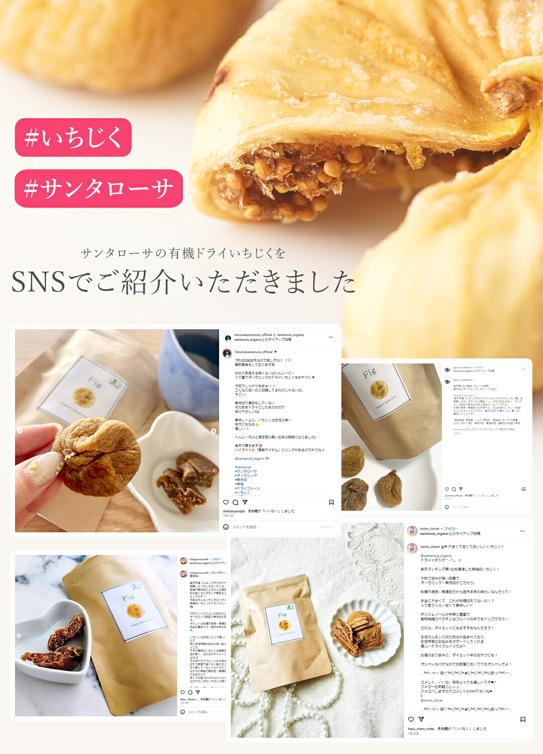 楽天第1位獲得ドライいちじく ドライフルーツ いちじく 500g 高品質 オーガニック (酸化防止剤不使用 砂糖不使用 香料不使用 防腐剤不使用 着色料不使用 無漂白 ノンオイル) 有機JASドライイチジク 乾燥いちじく 白いちじく 無花果 非常食