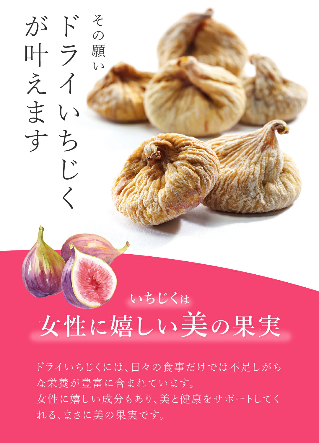 楽天第1位獲得ドライいちじく ドライフルーツ いちじく 500g 高品質 オーガニック (酸化防止剤不使用 砂糖不使用 香料不使用 防腐剤不使用 着色料不使用 無漂白 ノンオイル) 有機JASドライイチジク 乾燥いちじく 白いちじく 無花果 非常食