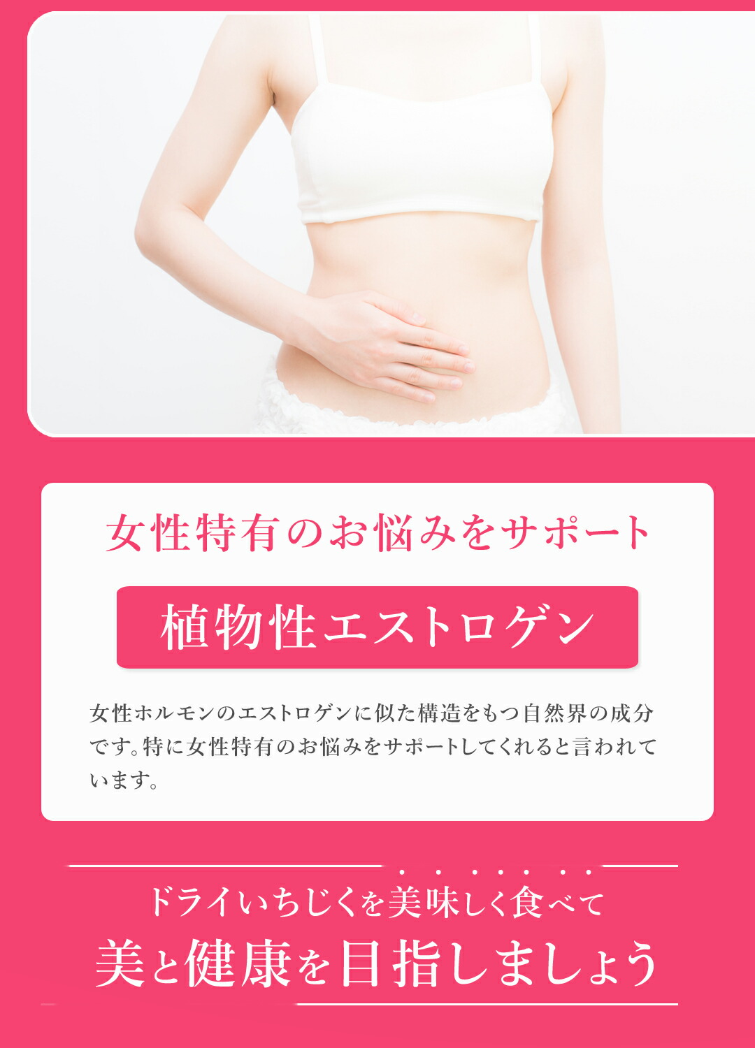 楽天第1位獲得ドライいちじく ドライフルーツ いちじく 500g 高品質 オーガニック (酸化防止剤不使用 砂糖不使用 香料不使用 防腐剤不使用 着色料不使用 無漂白 ノンオイル) 有機JASドライイチジク 乾燥いちじく 白いちじく 無花果 非常食