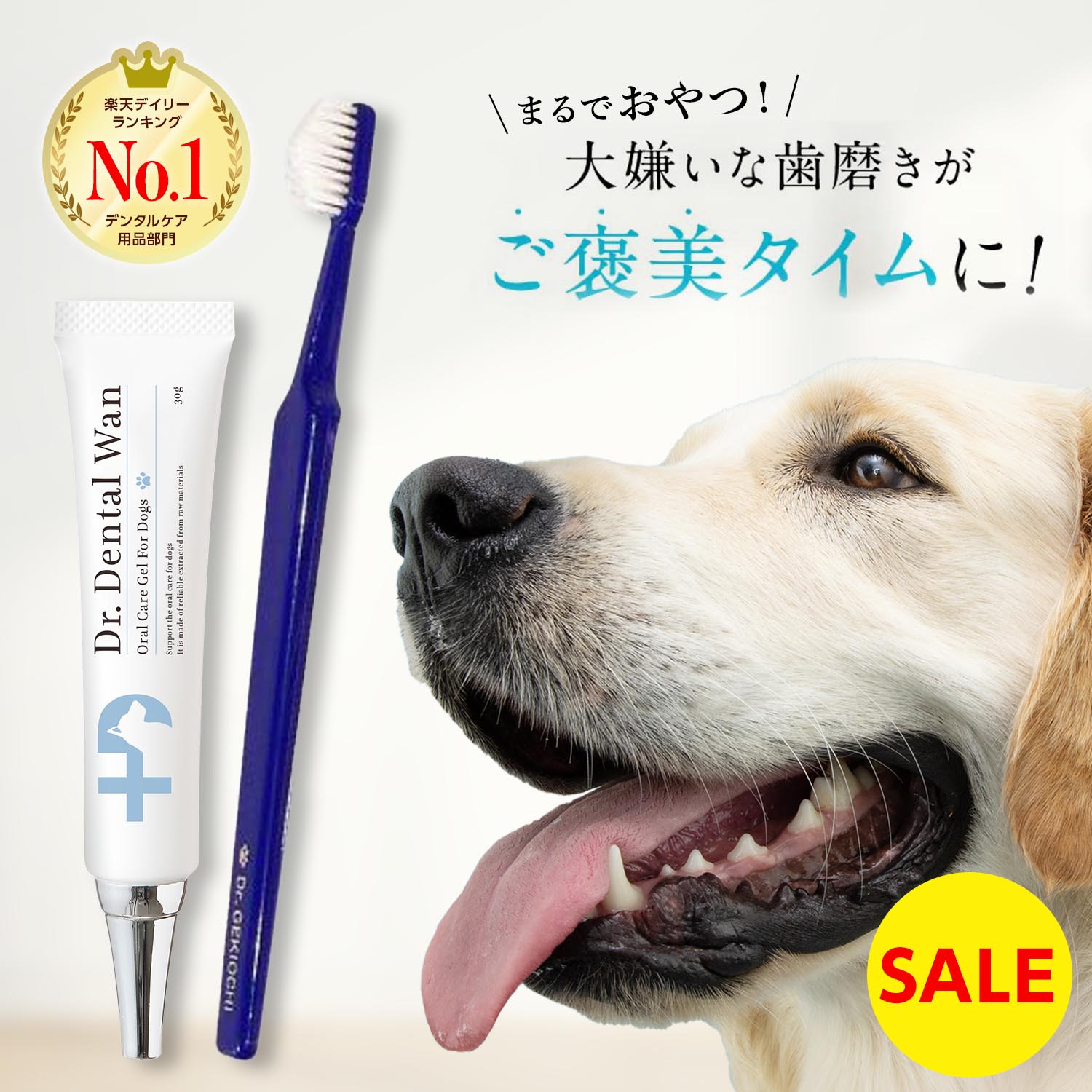 【楽天市場】【セール実施中 楽天スーパーSALE】ドクターデンタルワン 30g 1ヶ月分 犬 歯磨き 歯磨きジェル はみがき 歯石 犬口ケア 歯ブラシ  小型犬 愛犬歯磨き 愛犬デンタルケア 簡単 はみがき 歯垢 14種 乳酸菌配合 歯石とり 歯磨きペースト 歯石除去 ...