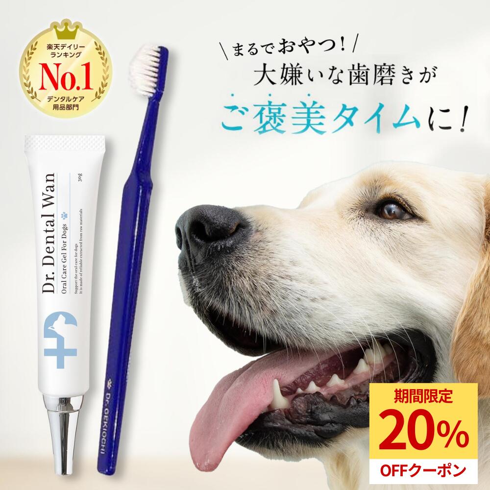 ドクターデンタルワン　2本セット imgrc0108808918.jpg