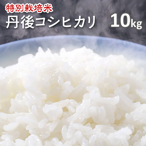 【特別栽培米】京都丹後コシヒカリ白米10kg　1年産