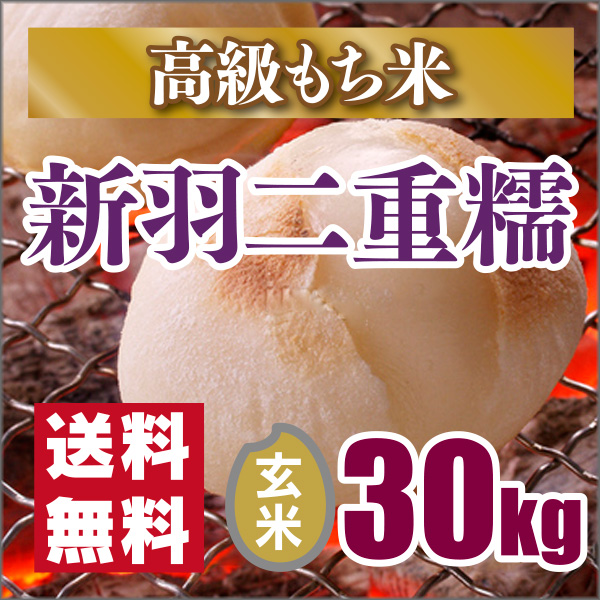 【楽天市場】30年産新米【もち米】京都丹後産 新羽二重糯 玄米30kg：京丹後のお米 三浦豊蔵商店