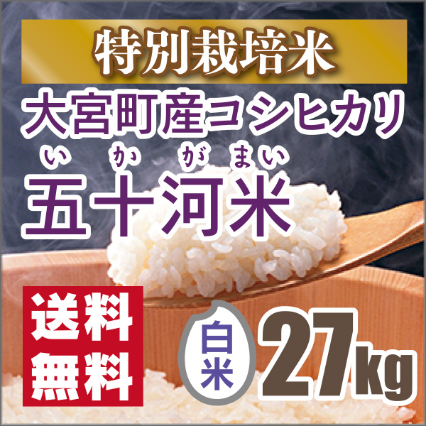 新米 玄米 30kg 京都 丹後 米 コシヒカリ 送料無料+