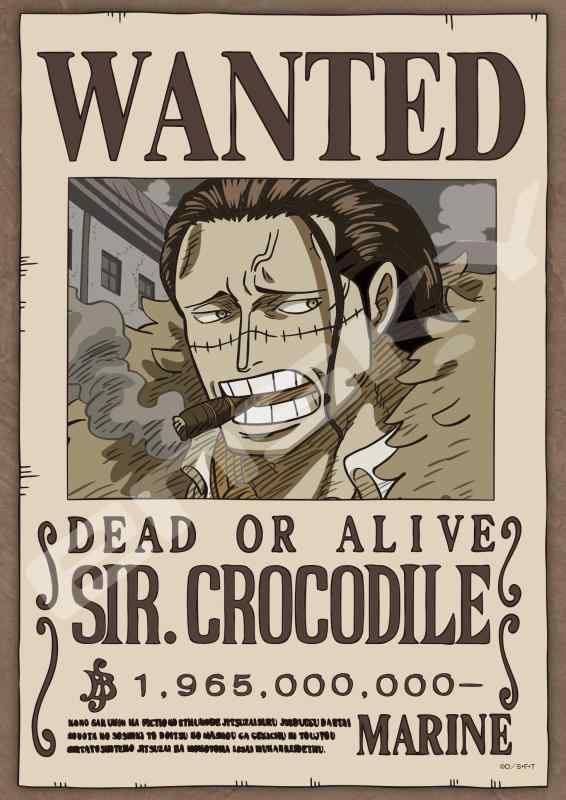 楽天市場】ジグソーパズル ワンピース 手配書『ゴール・D・ロジャー