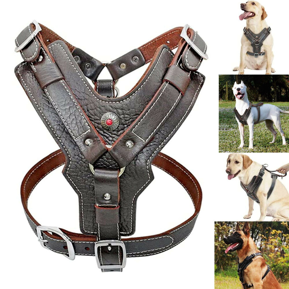 犬 ハーネス 胸あて ベスト型 犬用ハーネス ドッグハーネス 中型犬 大型犬 リード 胴輪 散歩 トレーニング しつけ用 レザー 皮革 通気性 調節可能 頑丈 丈夫 春 夏 秋 冬 送料無料|sanvino