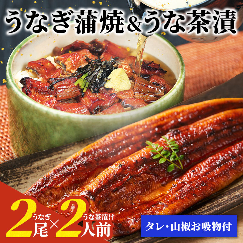 国産 うなぎ 蒲焼 茶漬け 4人前 unagi お茶漬け プレゼント うなぎ 鰻 鰻茶漬け 送料無料 高級 内祝い 贈り物 お土産 浜松 浜名湖 静岡