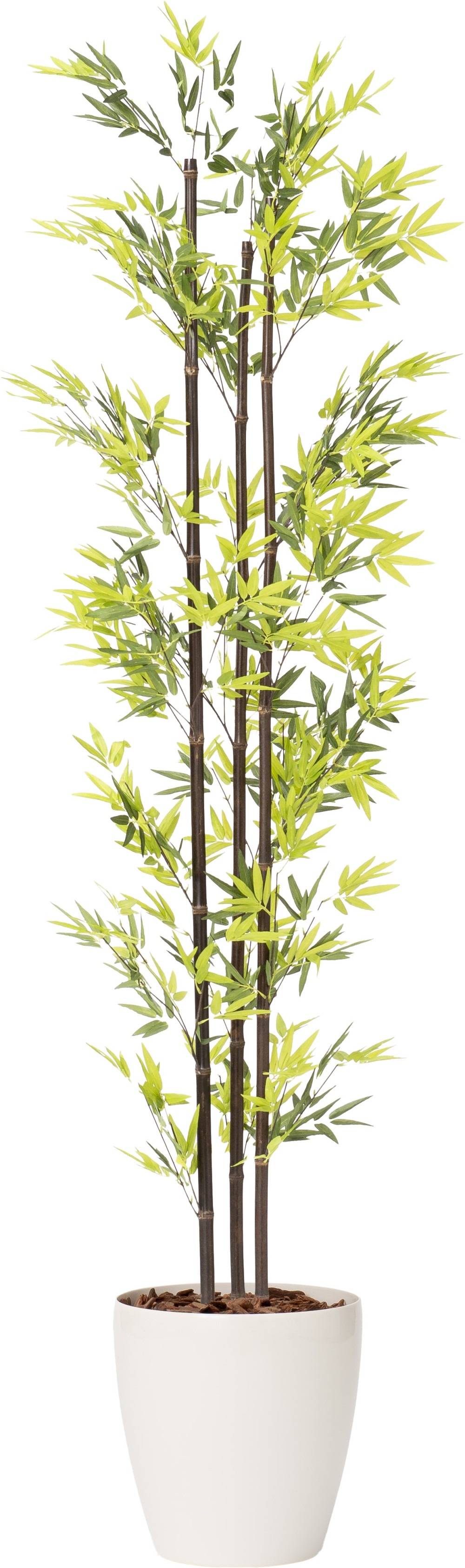 黒竹3本立150cm 180cm フェイクグリーン 観葉植物 造花 インテリアグリーン 人工観葉植物 おしゃれ 室内グリーン オフィスグリーン リアル 鉢付き 一人暮らし 新生活 グリーンインテリア|三和~いるときいるだけ~