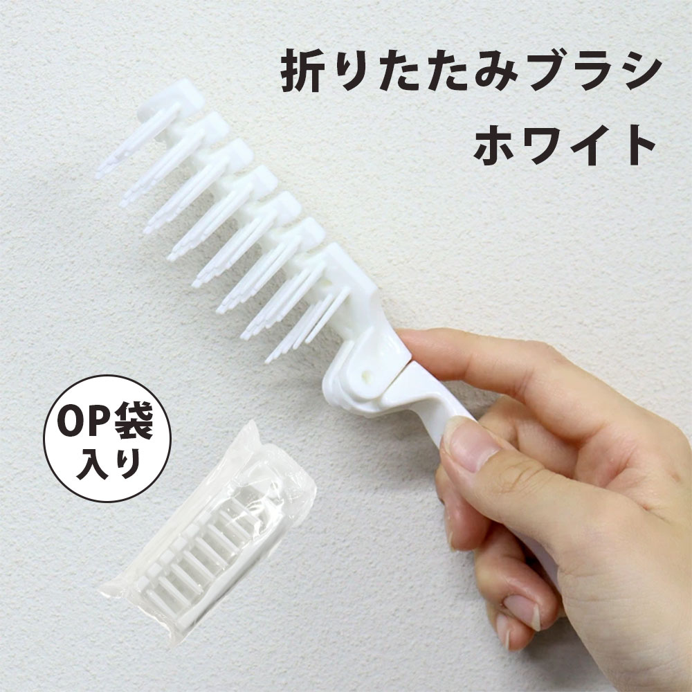 SERAO恍ける