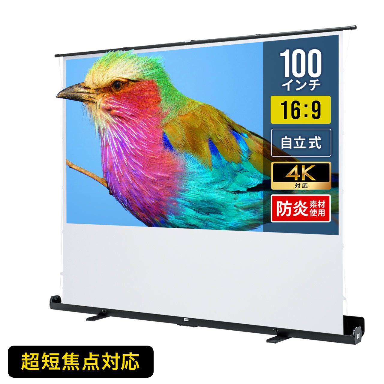 楽天市場】プロジェクタースクリーン 80インチ 自立式 超短焦点