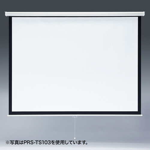 prs-ts85.jpg