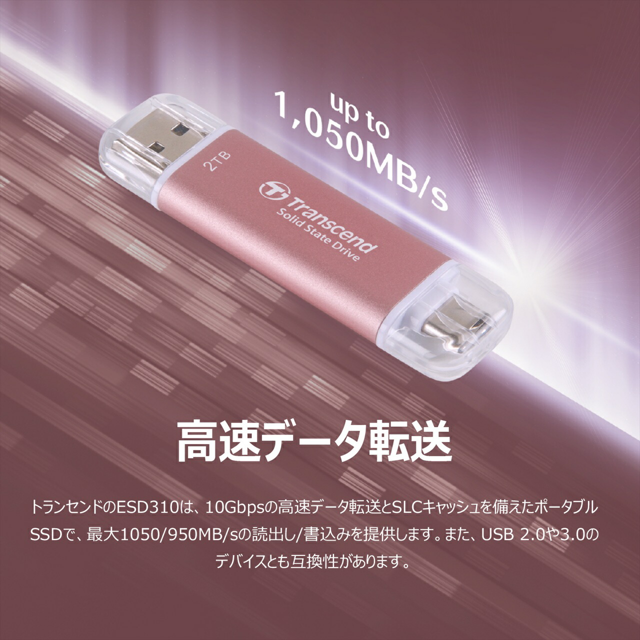 楽天1位受賞】ESD310C ポータブルSSD 1TB TS1TESD310C トランセンド