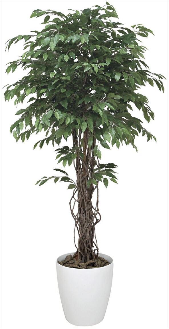 消臭 抗菌 防汚効果があり 水やり お手入れ不要 置くだけで素敵な癒し空間を演出 造花 人工観葉植物 ベンジャミンリアナ1 8 約 光の楽園 152f600 ベンジャミンリアナ1 8 光触媒 造花 おしゃれ 大型 フェイクグリーン インテリア 幅90 奥行90 高さ180cm 人工植物