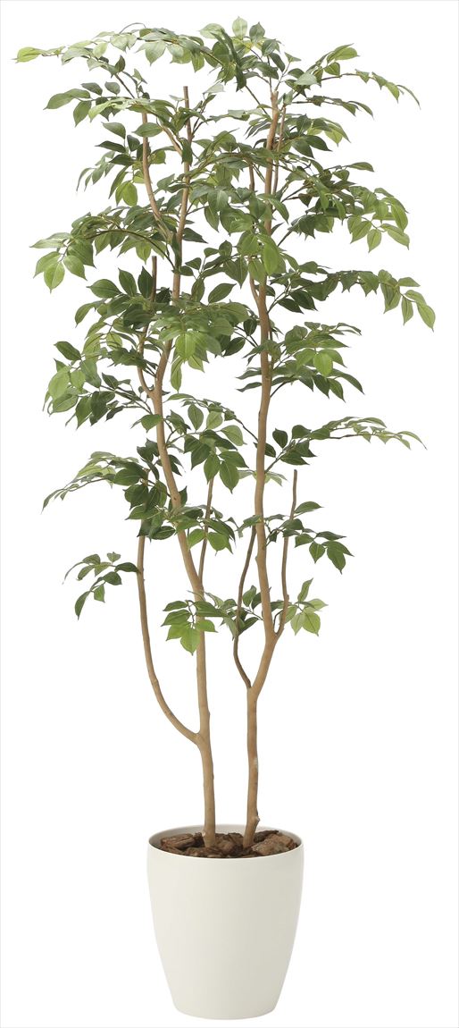 光触媒　人工観葉植物　ウォールグリーン　マウンテンアッシュ1.8 植栽付 光触媒 人工観葉植物 ウォールグリーン フェイクグリーン