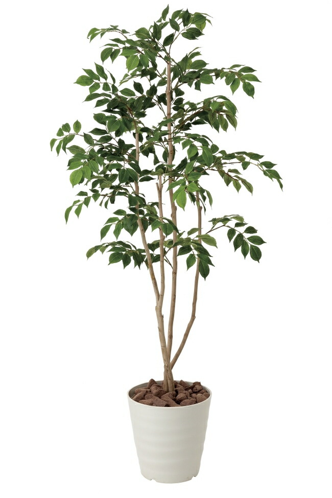 楽天市場】光触媒 人工観葉植物 造花 マウンテンアッシュ1.8 (高さ