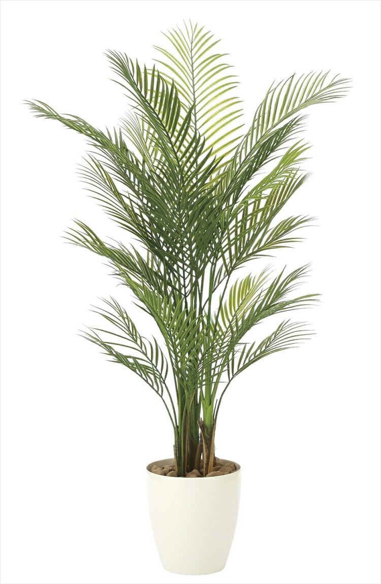 屋外対応型 屋外型 人工観葉植物 ポリ製 ポイント最大31 5倍 大型 光触媒 光の楽園 アレカパーム1 5 人工観葉植物 人工観葉植物 造花 人工 観葉植物 907a340約 幅80 奥行70 高さ150cm人工観葉植物 造花 フェイクグリーン スペシャルオファ おしゃれ インテリア