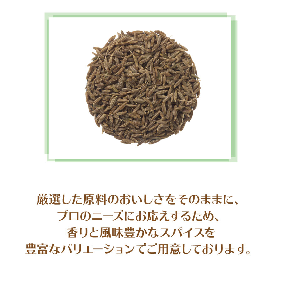 市場 GABAN クミンホール 100g 1袋 業務用 ギャバン スパイス