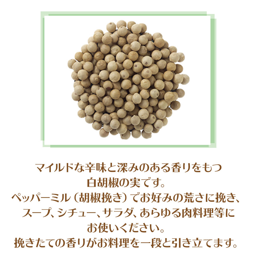 市場 2袋セット 業務用 ギャバン ホワイトペッパーホール 100g GABAN