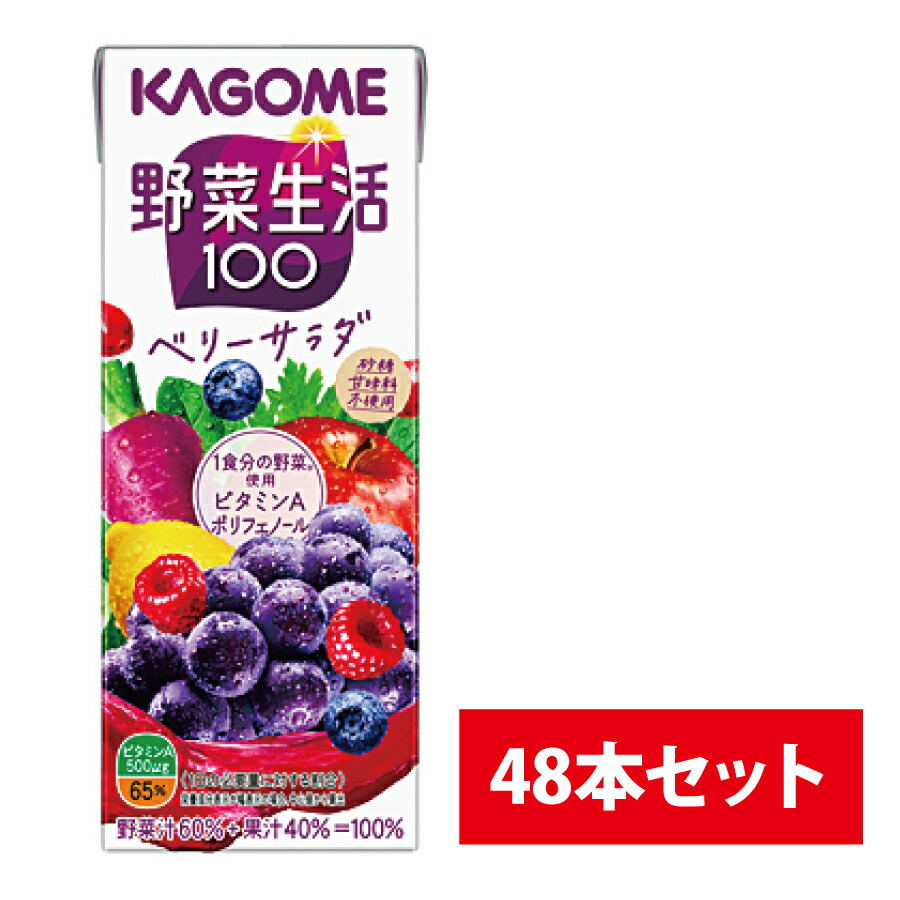 日本未発売 アップルサラダ 紙パック 200ml 野菜生活100 48本 1セット 野菜