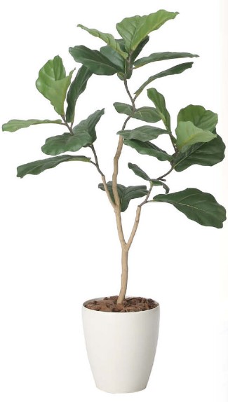 光触媒 光の楽園 デザインカシワバゴム1.1 2414A160 約 幅55×奥行50×高さ110cm 人工植物 造花 フェイクグリーン おしゃれ インテリア 大型