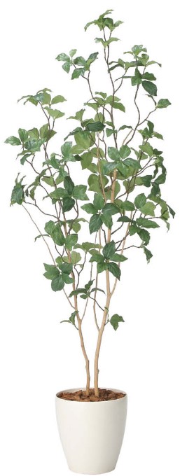 光触媒 光の楽園 サラサドウダン1.6　2416R300 約 幅60×奥行40×高さ160cm 人工植物 造花 フェイクグリーン おしゃれ インテリア 大型