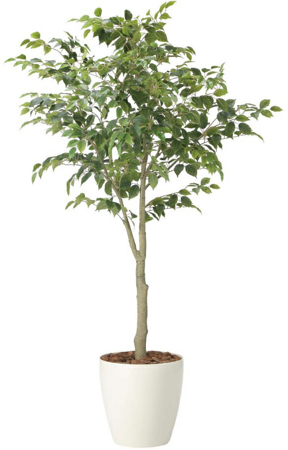 【マラソン中P3倍】人工観葉植物 光の楽園/光触媒 フィカスツリ―1.85(組み立て式)2438A430約 幅90×奥行80×高さ185cm造花 アーティフィシャルフラワー 葉物 造花・人工観葉植物 高さ～200cm フェイクグリーン インテリア 大型 ディスプレイ 装飾