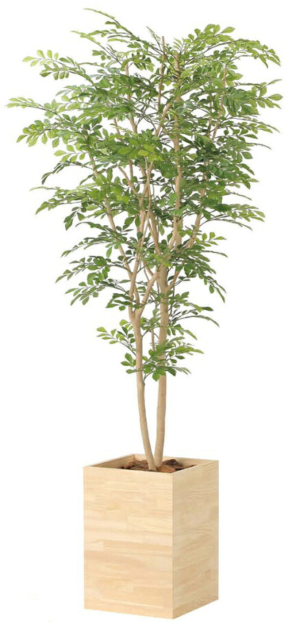 人工観葉植物 光の楽園/光触媒 ウッドボックストネリコミックス1.8 2457A620 約 幅90×奥行80×高さ180cm 造花 アーティフィシャルフラワー 葉物 造花・人工観葉植物 フェイクグリーン インテリア 大型